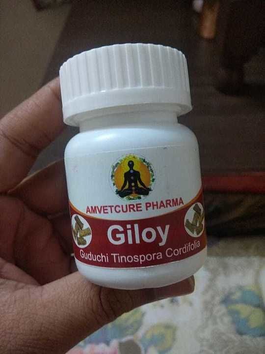 Giloy capsule uploaded by Amvetcure Pharma on 7/18/2020