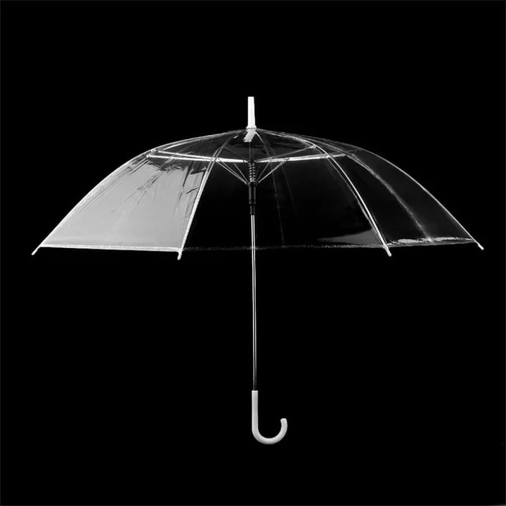 Transparent clear umbrella  uploaded by business on 2/5/2024