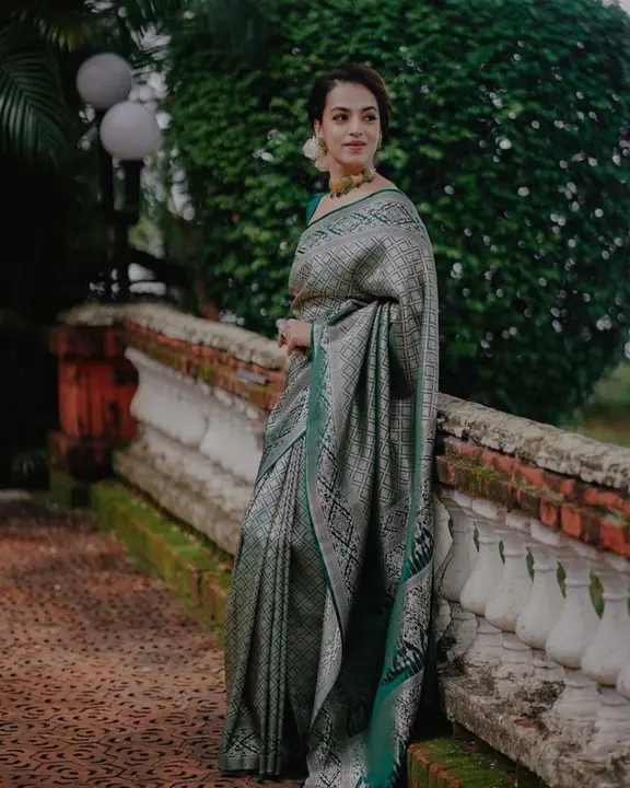 Allover silver zari weaving motifs design saree uploaded by DHANANJAY CREATIONS on 2/5/2024