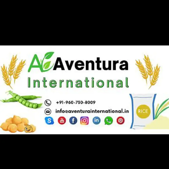 Product uploaded by Aventura International on 2/12/2024