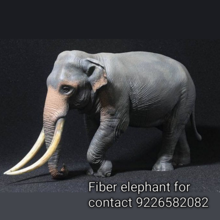 Fiber frp elephant statue  uploaded by business on 2/13/2024