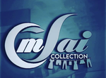 Business logo of Om sai collection based out of Kulpahar
