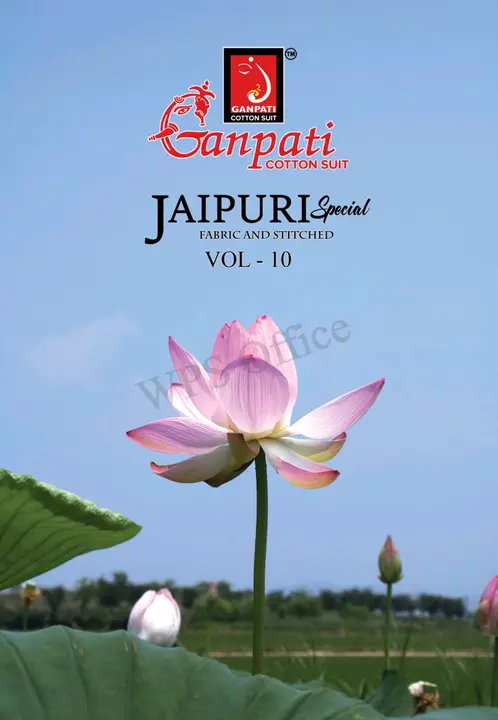 Jaipuri 10 uploaded by Shri hanuman textile on 3/2/2024