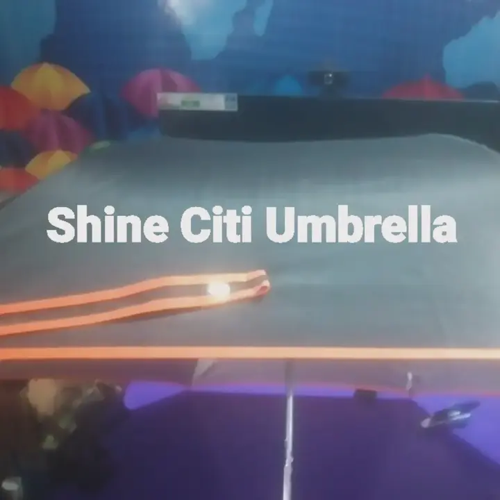 Post image Folding Umbrella