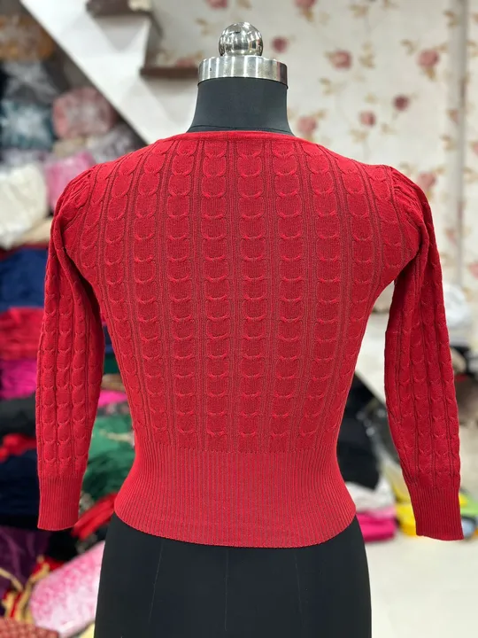 Designer Winter Special Woolen Blouses*
 uploaded by Blousewala on 3/12/2024