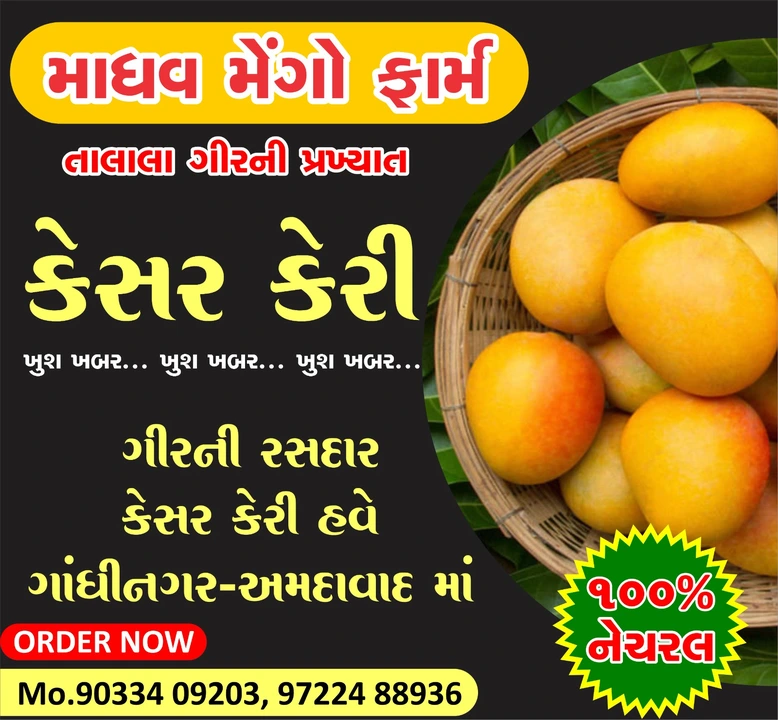 Post image 100% Natural Kesar Mango Famous of TALALA Gir 

All India Delivery Available
call : 9033409203 
Order now:  https://wa.me/qr/7QMHDPR54RSYC1