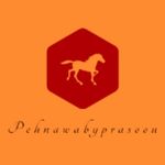 Business logo of Pehnawabyprasoon