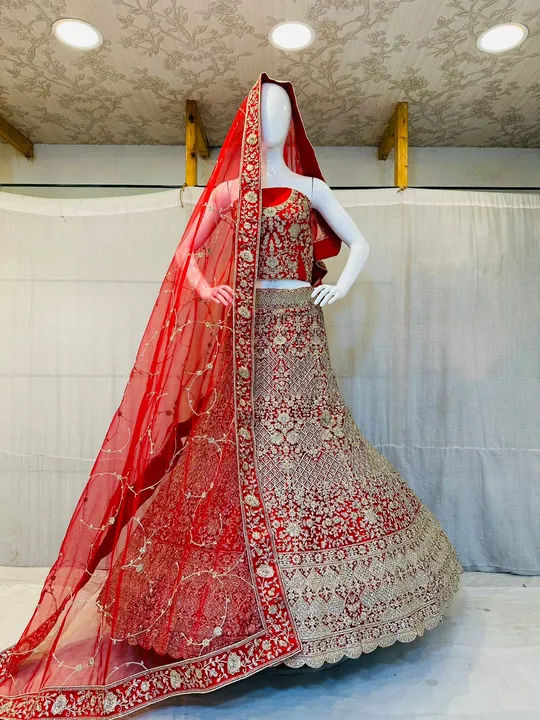 Net fabric with dabal kenken full jarkan  uploaded by Srija collection on 5/12/2024