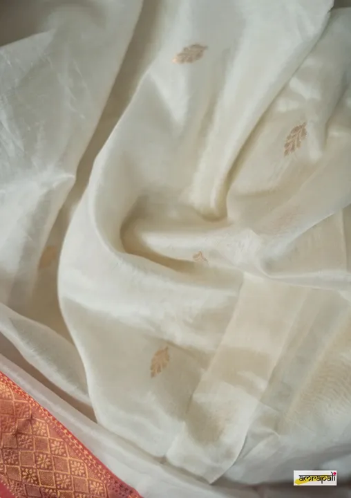 Handloom cotton saree uploaded by Santipur saree on 5/19/2024