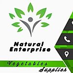 Business logo of Natural Enterprise