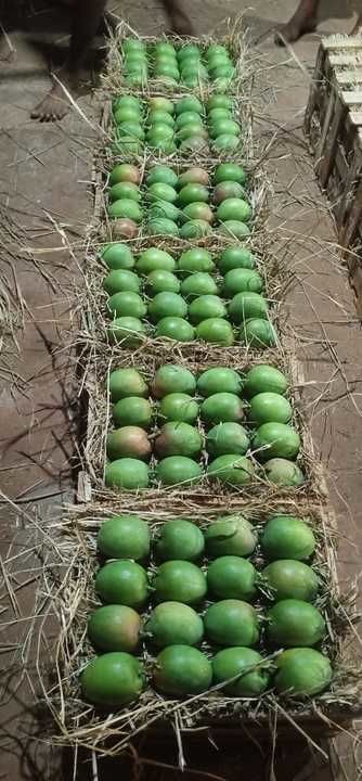 Ratnagiri  hapus  mango  uploaded by business on 4/3/2021