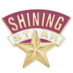 Business logo of Shining star fibre INDUSTRY