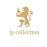 Business logo of Ip Collection