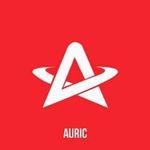 Business logo of AURIC INDIA
