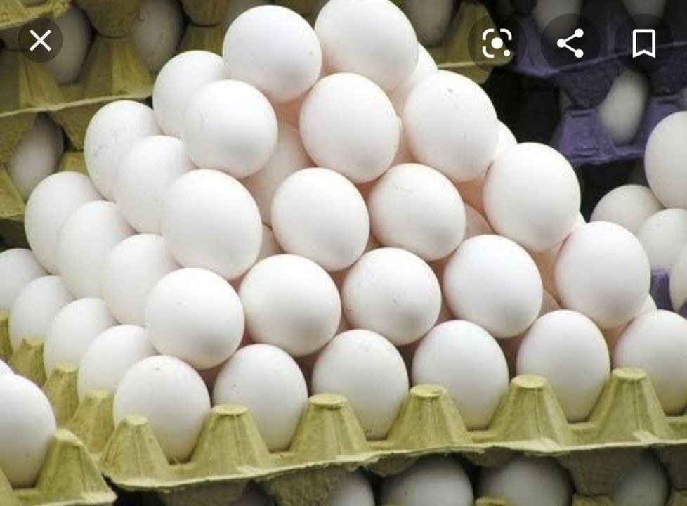 White Eggs uploaded by Aadhya Layar farming & Suppliers on 4/8/2021
