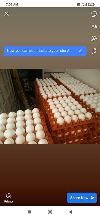 White Eggs uploaded by Aadhya Layar farming & Suppliers on 4/8/2021