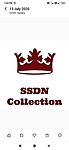 Business logo of SSDN collection