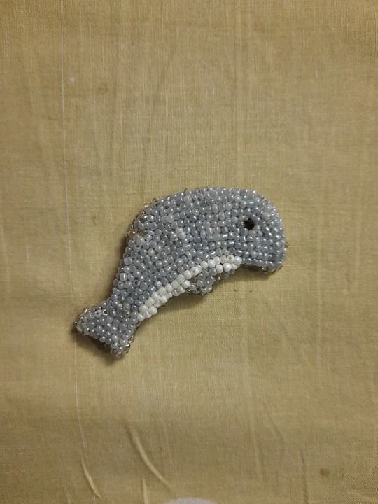 Dolphin brooch uploaded by Dharala Products  on 4/11/2021