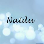 Business logo of Naidu wholesaler