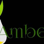 Business logo of Natures Factory/ Amber Oil