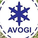Business logo of Avogi India Pvt. Ltd.