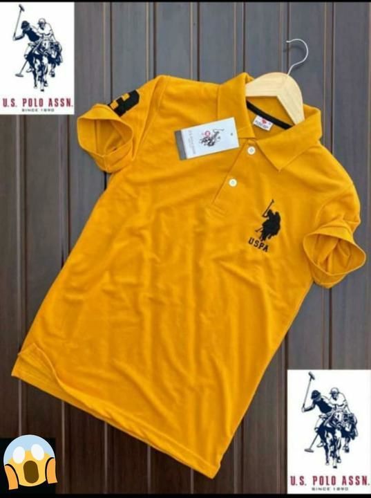 U S Polo T shirt uploaded by The Fashion Factory on 4/13/2021