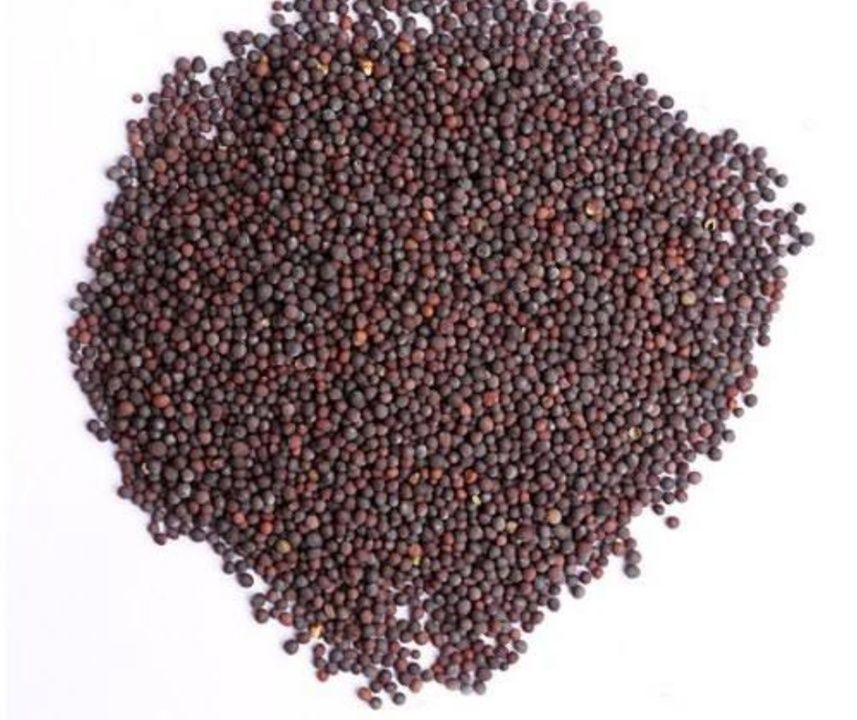 Mustard seeds  uploaded by business on 4/15/2021