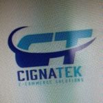 Business logo of Cignatek Ecom Private Limited