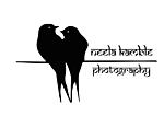 Business logo of Photographer