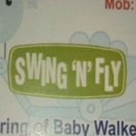 Business logo of swing n fly