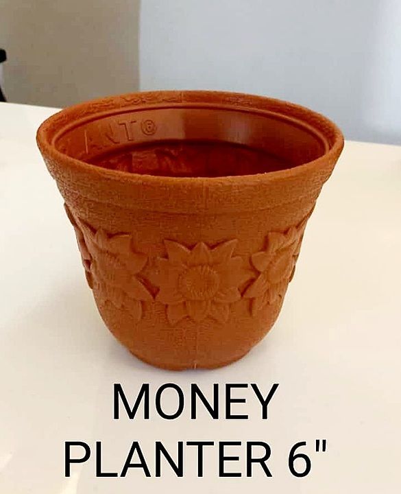Post image Hey! Checkout my new collection called Money planter 6".