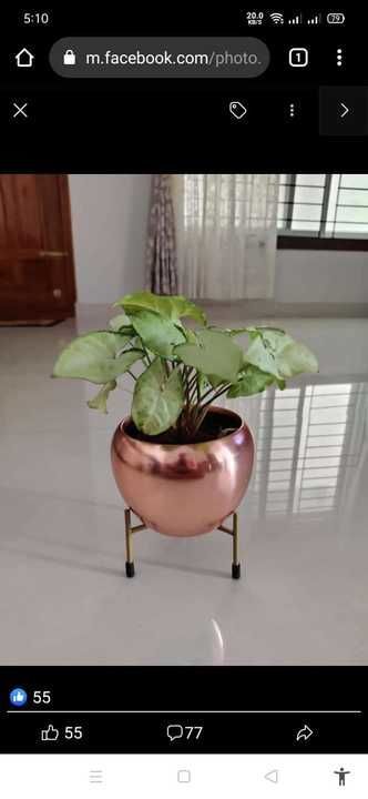 6" Metal Apple Pot with stand...various colours and designs uploaded by business on 4/18/2021