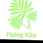 Business logo of Flying Kite