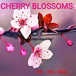 Business logo of Crerry blossoms