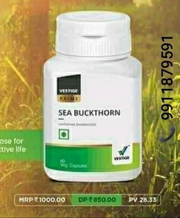 Vestige Sea Buckthorn 60 Capsules uploaded by Gold spices and dry fruits on 7/28/2020