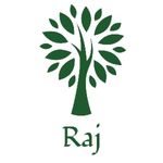 Business logo of Raj sisodiya