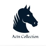 Business logo of ACTN COLLECTION