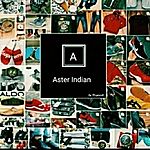 Business logo of ASTER INDIAN 