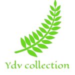 Business logo of Ydv collection
