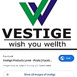 Business logo of Vestige marketing 