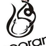 Business logo of Noorani electronic