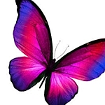 Business logo of Butterflies 