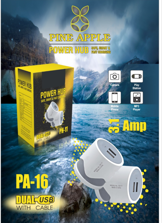 Pineple a16 heavy fast charger uploaded by business on 5/3/2021