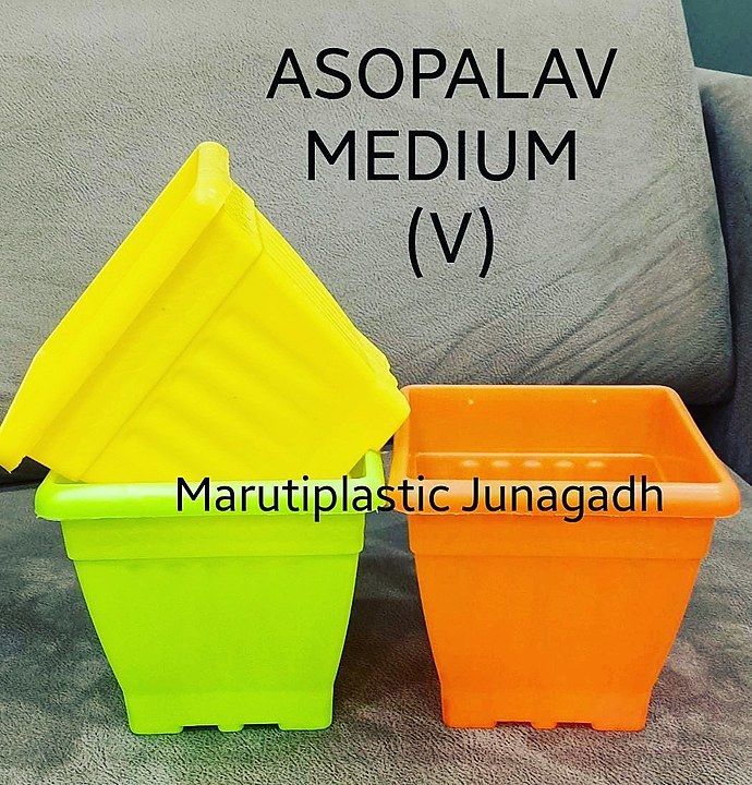 Aasopalav planter  uploaded by business on 7/31/2020