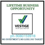 Business logo of Vestige marketing