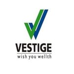 Business logo of Vestige & Other Products