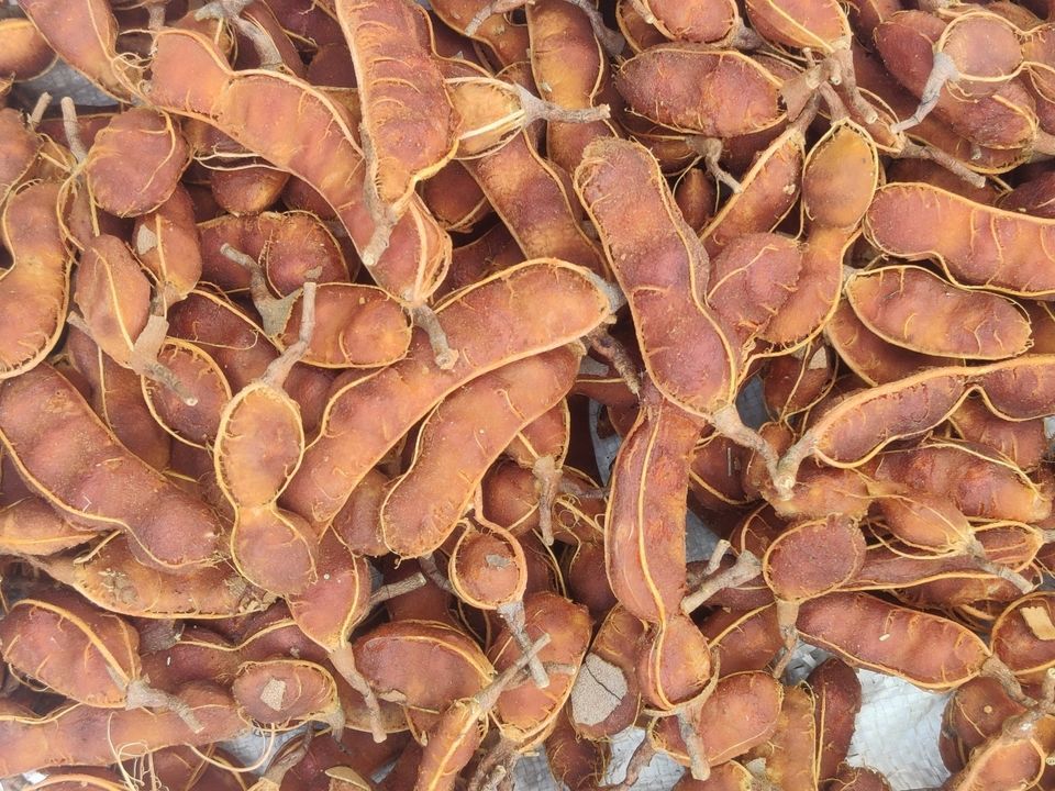 Seeded Tamarind uploaded by Jeddai industries private limited on 5/10/2021
