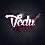 Business logo of Vedu's_Collection 