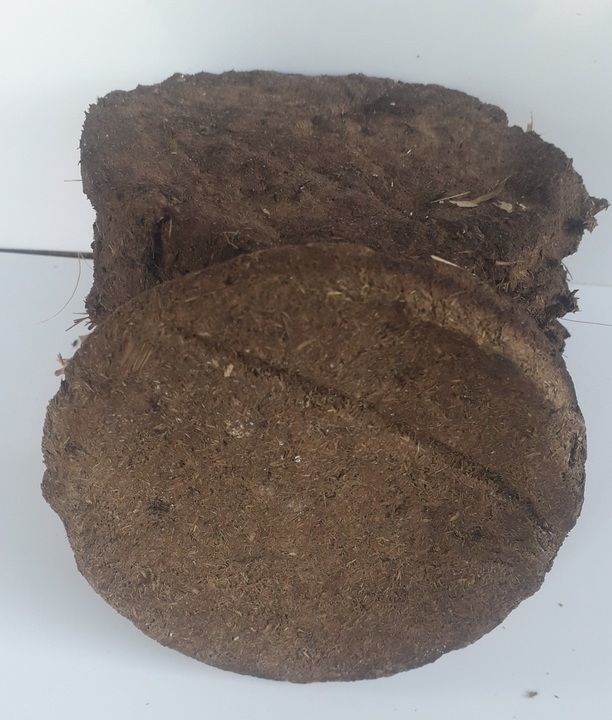 Cow dung cake 24 pices uploaded by business on 5/10/2021