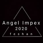 Business logo of Angel impex